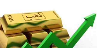 ارتفاع أسعار الذهب