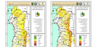 مستوى انتشار الحرائق